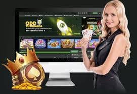 Sistem tier loyalitas bola88 live